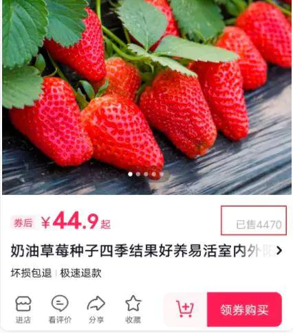 1669365451-4d173408b5d34e8