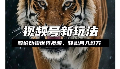 83b708df849dba9 83b708df849dba9